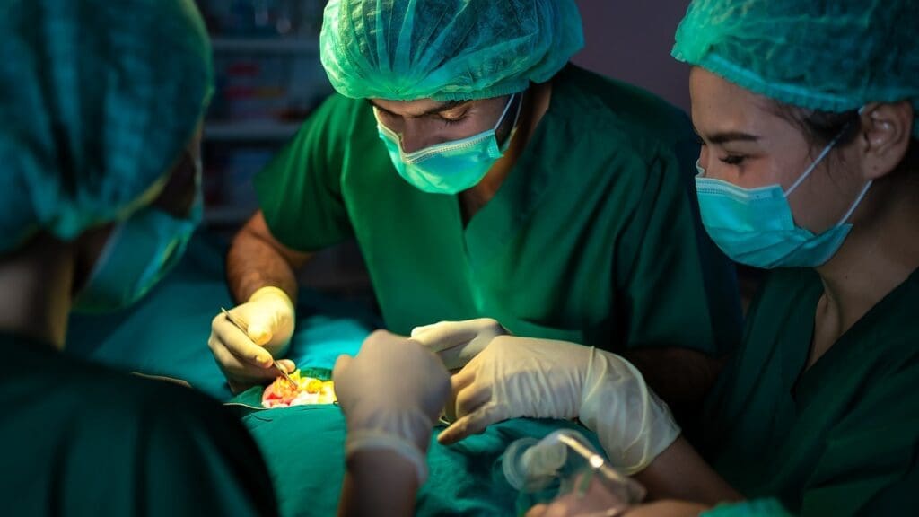 prostatectomy procedure