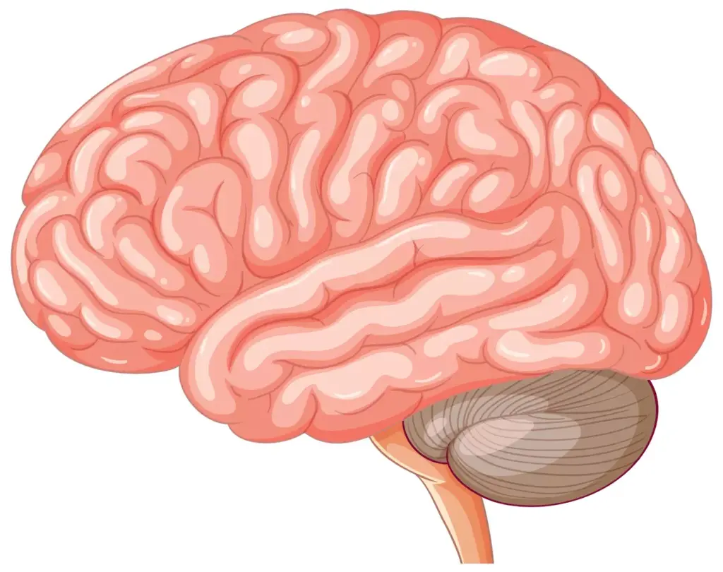 9 Common Signs and Causes of Brain Tumour: How to Spot Symptoms Early
