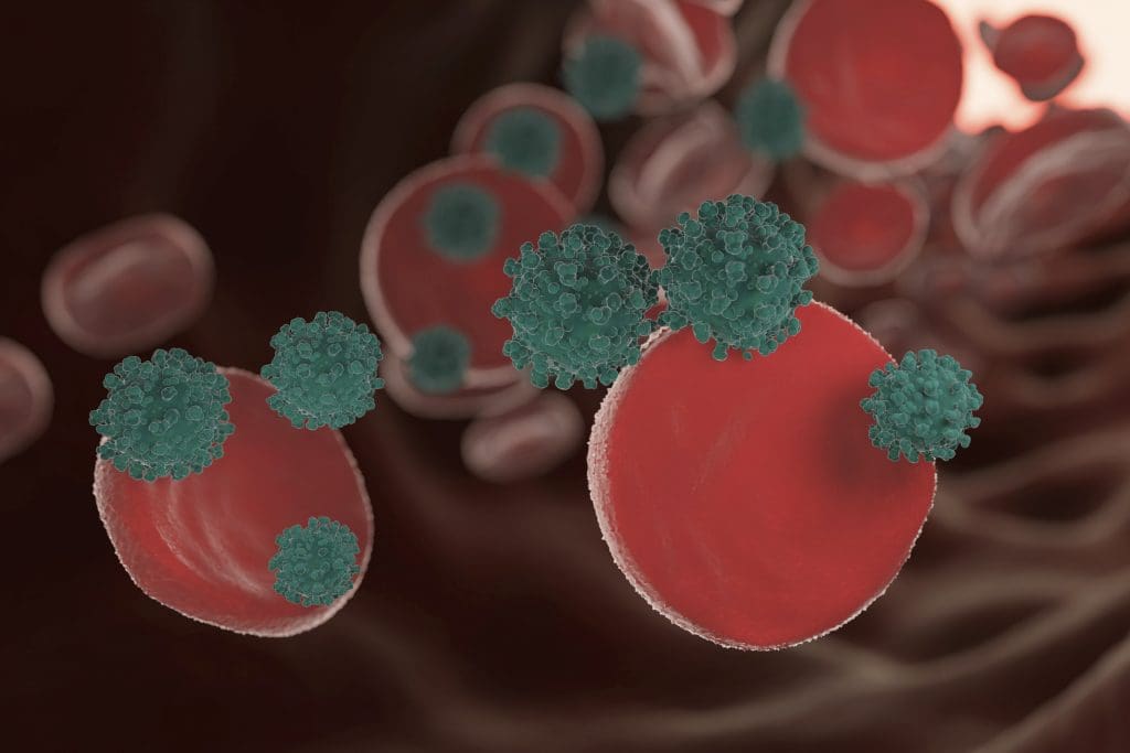 representation microorganisms concept 3 LIV Hospital