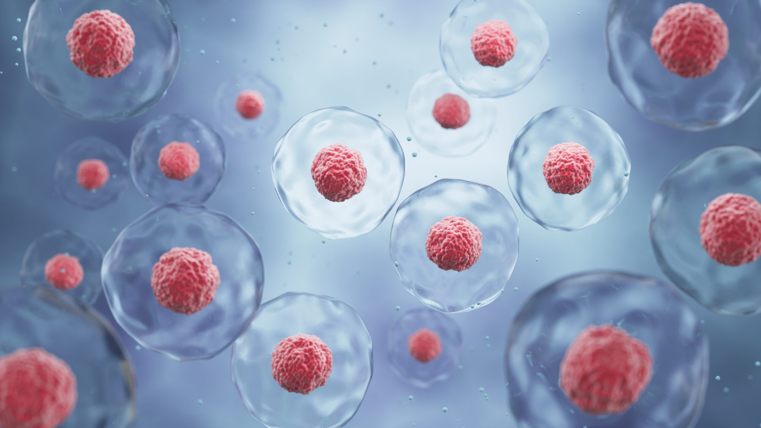 Bone Marrow Extracted