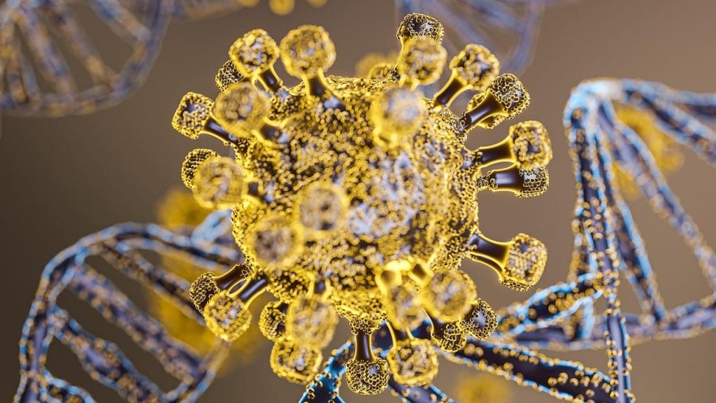 somatic stem cells definition