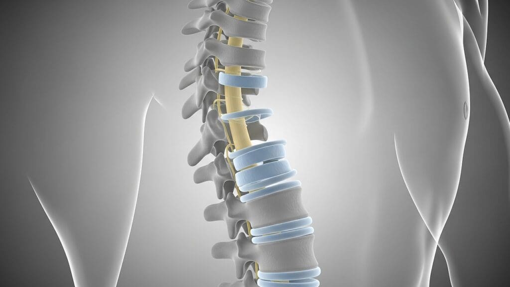spinal c6 and c7