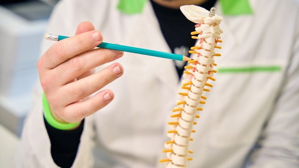 spinal fusion longevity