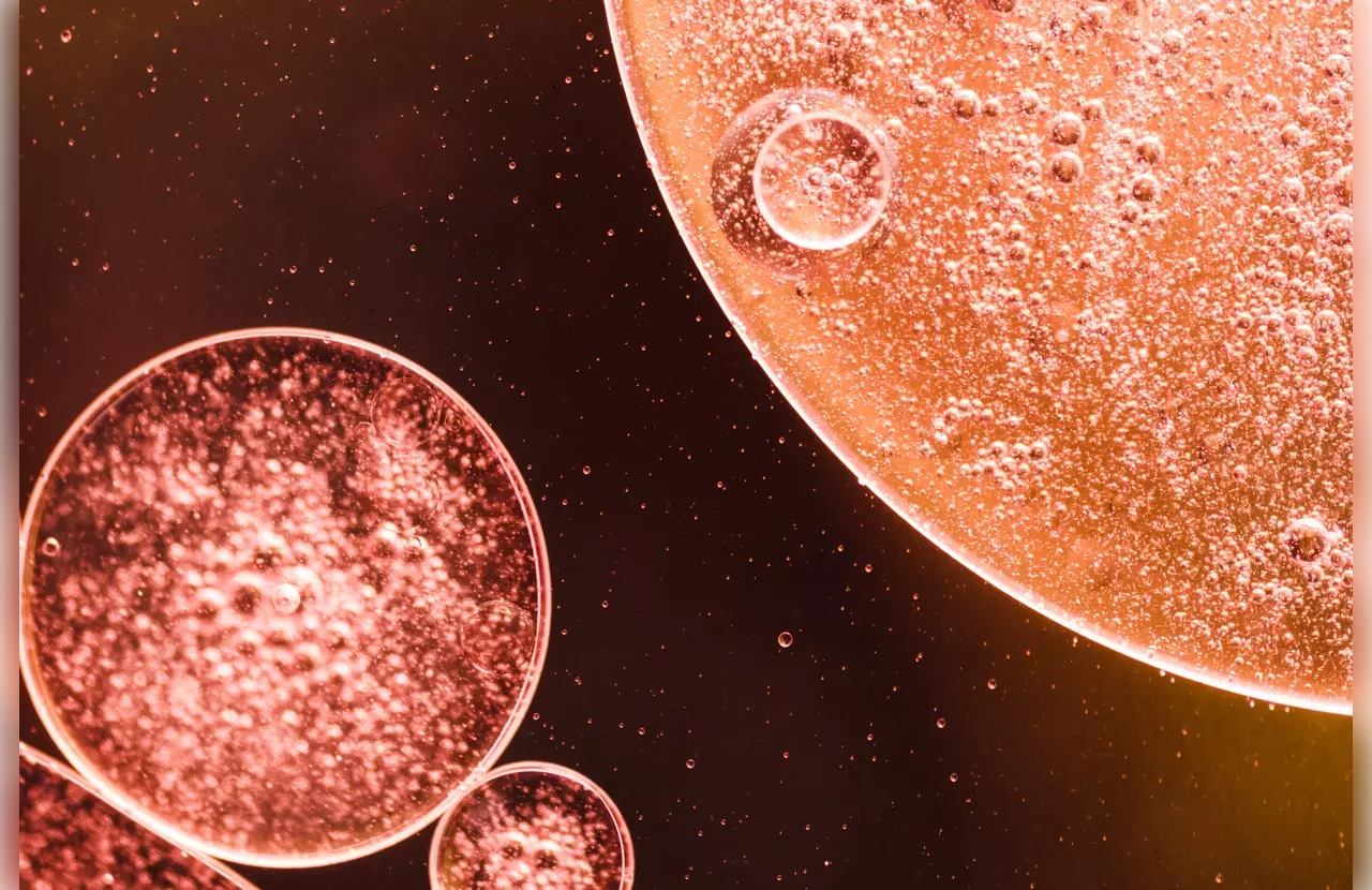 stem cell regeneration patch