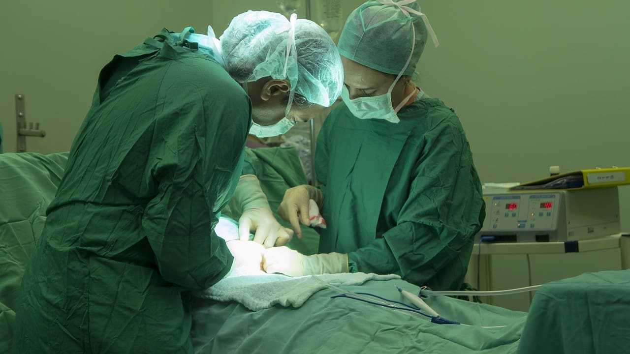 triple a repair operation