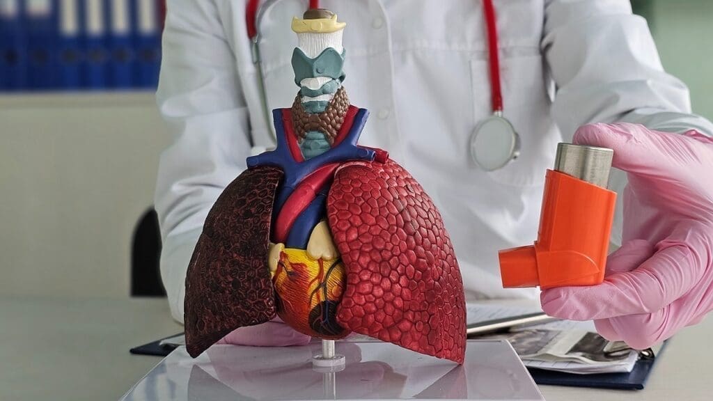 image 156 48 LIV Hospital