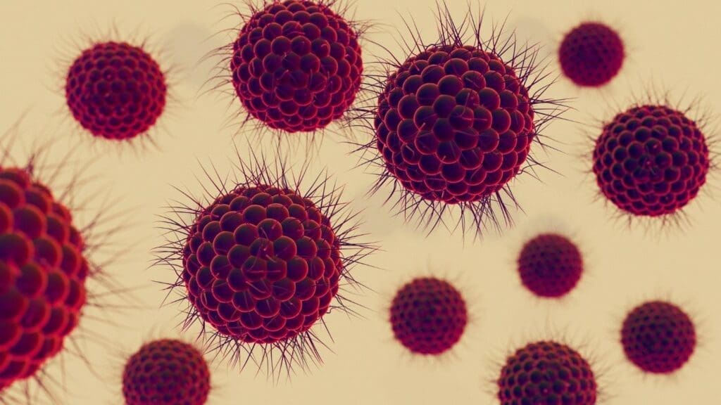 Can Benign Tumors Become Cancerous? What Does Malignant Tumor Mean?