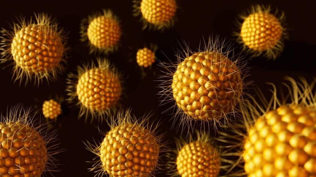 image 53 LIV Hospital