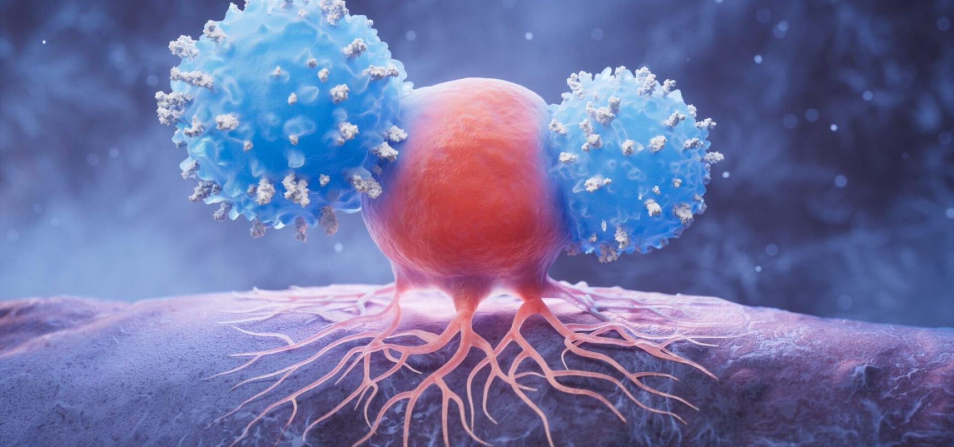 shutterstock_2480344577